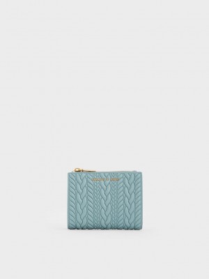 Charles & Keith Apolline Textured Top-Zip Wallet Azules | 0195836-SD