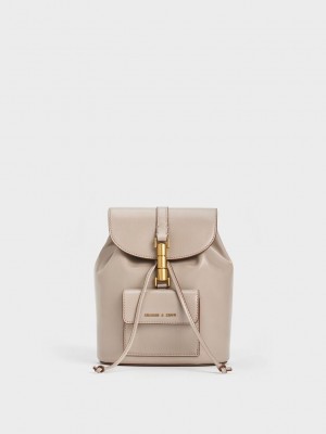 Charles & Keith Cesia Metallic Accent Backpack Grises Marrom | 6580321-DE