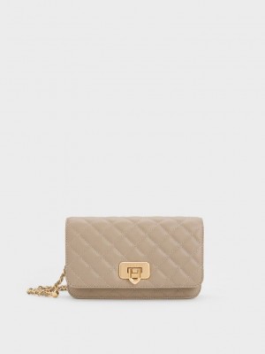 Charles & Keith Cressida Acolchado Push-Lock Clutch Grises Marrom | 2869170-LU