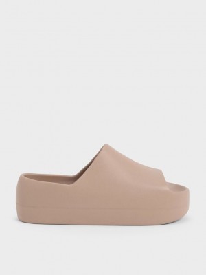 Charles & Keith Morgan Plataforma Chanclas Sandals Marrom | 3862519-DV