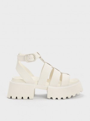Charles & Keith Nadine Gladiator Plataforma Sandals Rosas | 9456278-PQ
