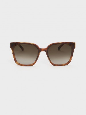 Charles & Keith Square Thick-Frame Sunglasses | 6190253-ZR
