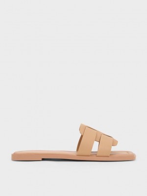 Charles & Keith Trichelle Interwoven Cuero Chanclas Sandals Beige | 1306849-SA
