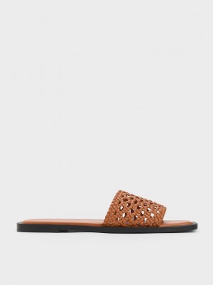 Charles & Keith Woven Square-Puntera Slides Marrom | 4560239-CW
